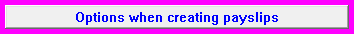 8. Options when creating payslips