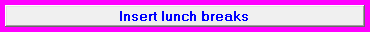 9. Insert lunch breaks
