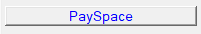 12. PaySpace
