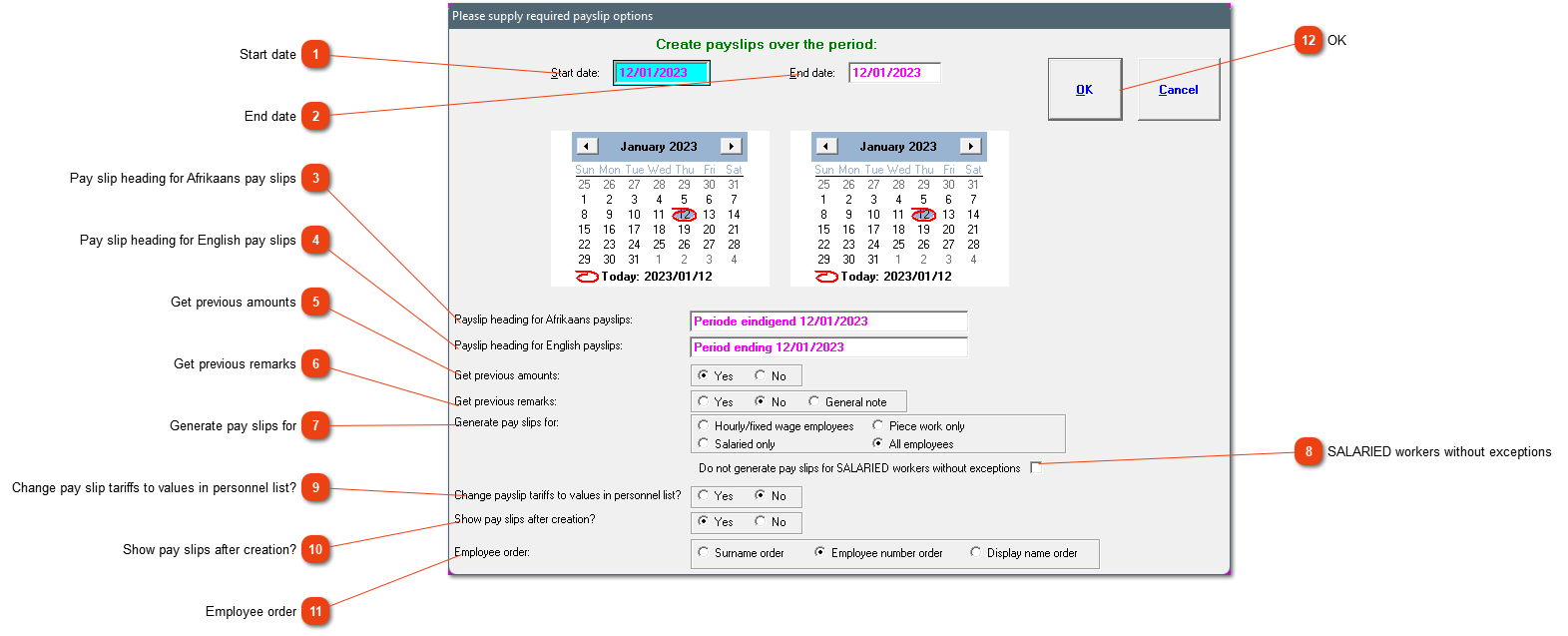 Options when generating pay slips