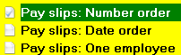 1. Pay slips different sort orders