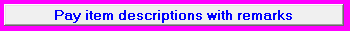 10. Pay item descriptions with remarks
