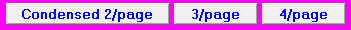 3. Print more pay slips per page