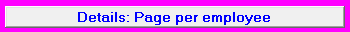4. Details: Page per employee