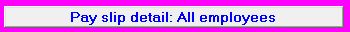 8. Pay slip detail: All employees