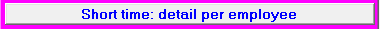 8. Short time: detail per employee