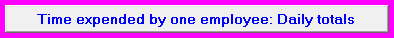 2. Time expended by one employee: Daily totals