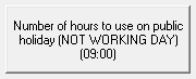 1. Number of hours to use on public holiday (NOT WORKING DAY) (09:00)