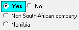 1. South African tax active on pay slips