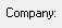 2. Current company